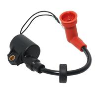 Bobina de Encendido 6H5-85570-00 Compatible con Yamaha 25HP 30HP | Compatible con los modelos 25B 25Q 25V E25A 30G 30H 40HP C40 K40J P40 40H 40V 50HP P50 50D 50H