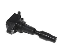 Bobina de Encendido Bobina de Encendido OE No 273002Gga0 para Hyundai para I30 para Santa para Fe para Motor para Código G4Kh G4Kj G4Kl