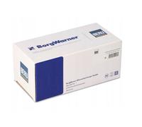 Bobina de encendido BORGWARNER (BERU) ZS570 SAAB 900 II 2 1993-1998