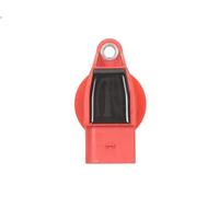 Bobina de encendido BORGWARNER (BERU) ZSE 042 para CAYENNE (9PA) 4.5 2002-2007