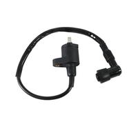 Bobina de encendido compatible con Kayo Ttr-110 Fox 70 Access Ams Sport 110 2017 2018 Runner 70 Número de pieza 306001-0012-02