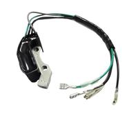 Bobina de encendido con magneto integrado ET950 ET650 IE45 TG950 Encendedor Compatible con 450W 650W 800W 950W 1000W 2 tiempos(1pc)