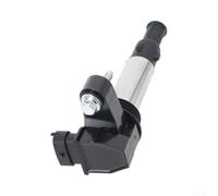 Bobina de encendido de alto rendimiento 12629037 bobinado de cobre plástico | bobinados de cobre, plástico de ingeniería, negro plateado, resistente al calor, duradero bajo carga