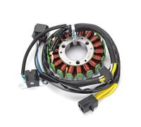 Bobina de encendido de motocicleta Magneto para bobina de estator generador de motor para Suzuki DR250R DRZ250 DRZ400 DRZ400E DRZ400SM carga del generador