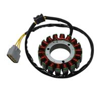 Bobina de encendido del generador del estator de la motocicleta 3020-355 3020-437 compatible con Arctic Bearcat Pantera 7000 M 7000 LTD Sno Pro 153 162