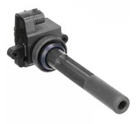 Delphi Bobina de encendido GN10425-11B1 para Isuzu Axiom SUV 3.5 2001-2003
