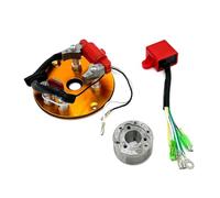 Bobina De Encendido Kit De Estator Rotor Interno con Bobina Magnética Motocicleta para LF YX 50/110/125/150/160 CC Scooter Kart ATV, Quad Moto Motor Horizontal(Color11)