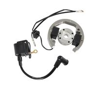 Bobina De Encendido Moto Para 50 SX 50Cc Pro SR JR SX50 Para Adventure Estator Rotor Magneto Volante Kit De Montaje Bobina Encendido