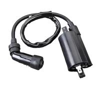 Bobina De Encendido Motocicleta Para Suzuki AN250 AN400 Para Skywave Para Burgman 250 400 33410-14F00 33410-05H00 1998-2016 Bobinas Encendido