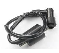Bobina de Encendido para Aerox 50 para Axis 50 para BWS 100 50 para Spy50 para Breeze 50 para Cygnus para XC125 03 Bobina 1PIN Motocicleta(A)