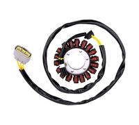 Bobina De Encendido Para Moto Para BMW M1000R M1000RR S1000R S1000RR S1000 M1000 RMS 1000 RR Road Passion Piezas De Motocicleta Bobina Estator Encendedor