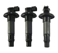 Bobina de encendido para SeaDoo GTX RXT RXP GTI GTS GTR Wake 130 155 185 215 255 260 HP todos los modelos 4-TEC 420664020