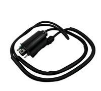 Bobina de Encendido Para VFR400 Para CBR600 Para CB1300 CBR900rr VT400 VT600 ZX-9 ZZR1100 Piezas De Encendido 30510-KT7-023 Motocicleta Bobinas Encendido
