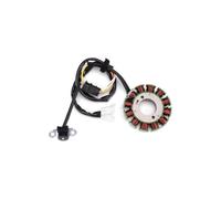 Bobina de estator 5Um-81410-09-00 5Um-81410-31-00 Bobina de estator del generador de motocicleta WR250 F para WR250F WR 250F WR-250F 2004-2009/2011-2014 Bobina de magneto del estator de encendido