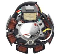 Bobina De Estator De Generador De Motocicleta Compatible con Yamaha TT-R125 | Adecuado para TTR125ER, TTR125ES, TTR125ET, TTR125EV, TTR125EW, TTR125EX, TTR125EY, TTR125LER