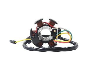 Bobina de estator de motocicleta compatible con Aprilia RS50, RX50, MX50 99-05. Compatible con YAMAHA DT50R, TZR50 y Peugeot XP6 XPS. Bobina estator moto Bobina del estator