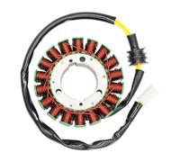 Bobina de estator de motocicleta compatible con FZ6 FZ6N FZ6S FZ6NS FZ6NA FZ6SA2 FZ6NA FZ6S2 FZ6NHG Naked S2 FZ6SW se adapta a varios modelos