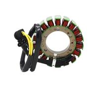 Bobina De Estator Encendido Del Generador Motocicleta Para F650GS Para F800R Para F800S Para F800GS Para F800ST Para F800GT Para F700GS Arnés Cables Magnético