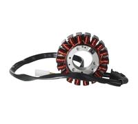 Bobina de estator generador de motocicleta Compatible con CB250 250 JADE250 CBR250RR CBR250RR MC22 31120-KEA-000