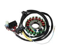 Bobina De Estator Generador Motocicleta Para SMC Para ATV Para 500 520RR 503 Para Canyon Para 520 OEM:35560-CGV-00 Bobina Encendido