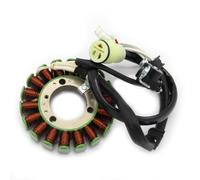 Bobina de estator magnético de Encendido ATV 4D3-81410-00 Compatible con YFM250R 250 YFM250 Raptor250 Edición Especial 2 ATV
