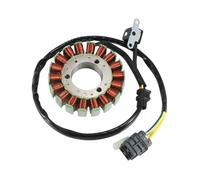 Bobina de estator magnético for motocicleta AEG-31120-REA-000, compatible con ATV Quad Raider 600 UA60A-6 UA60A1-6 Deluxe UA60A2-6 L0 2010