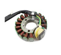 Bobina De Estator Magnético Para Motocicleta 4JG-85510-01 4JG-85510-01 TTR225 TT-R225 XT225 Serow 225 ST225 Para Bronco 225 Estator del Generador
