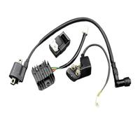 Bobina De Estator Magnético para Motocicleta para 150 200 250 CC ATV Motocicleta CDI Caja De Encendido Dispositivo Bobina De Encendido 6 Pines AC CDI Regulador Rectificador Relé Kit