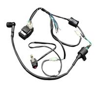 Bobina De Estator Magnético para Motocicleta para 50cc 70cc 90cc 110cc 125cc 150cc 160cc Dirt Pit Bike Bobina De Encendido CDI Cableado Arnés Kill Switch Kits