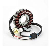 Bobina de estator Magneto generador 5LP-81410-01-00 compatible con Yamaha YFM250 YFM660 660R Raptor 660 Big Bear 250 YFM660RP YFM250XR 25XS