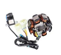 Bobina De Estator Motor Magneto para TRX250 TM/TE FourTrax 250 ES 2005-2010 Carga del Generador TRX Recon TM/ES