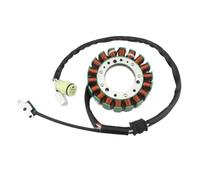 Bobina del estator 2P5-81410-00 5UH-81410-00 Compatible con Yamaha YFM350A YFM350FWA YFM400F YFM450FWA YFM660FA YXR450 YFM45FX YFM35BA