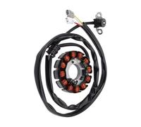 Bobina del estator Compatible Con Yamaha Para WR250F 2004-2014 Generador De Estator De Bobina De Estator Magnético De Motocicleta 5UM-81410-09-00 5UM-81410-31-00-ABQA