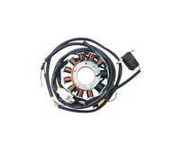 Bobina del estator del encendedor de piezas del generador for motocicleta CB250 Ni Tw Fi Po CMX250 Re CMX250X