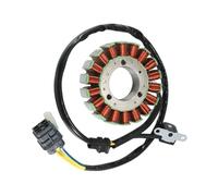 Bobina del estator del generador de motocicleta AEG-31120-REA-000, compatible con ATV Quad Raider 600 UA60A-6 UA60A1-6 Deluxe UA60A2-6 L0 2010