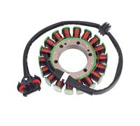 Bobina del estator del generador de motocicleta for AC Ra Cr 500 570 900 1000 Ha 325 450 X2 570 Ge RZ XP