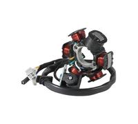 Bobina del estator del Magneto de Motocicleta for Noble 125 ATV 150 Sport Utility Crossover Thunder Bike 125 (TB125) OEM:31120-120-000