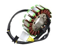 Bobina Del Estator Generador Magnético De Motocicleta Para Cbr600 Para CBR600F4i 2001-2006 31120-MBW-J21 Estator Bobina