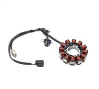 Bobina Del Estator Magnético Para Motocicleta Para CRF250R AC 2022 2023 2024 Magneto Estator Bobina Encendido