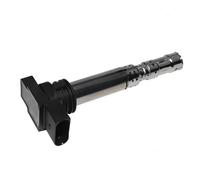 Bobina del motor Bobina de encendido para Audi A8 D3 (2004-2010), para VW B5.5 4.0 Phaeton, para Bentley y para Continental