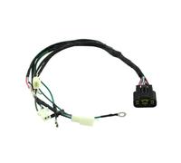 Bobina Di Accensione Arnés Cableado Para Motor De Moto Para Zongshen 125HO 140cc Z155 155cc