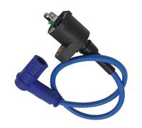 Bobina Di Accensione Bobina Encendido Para Motocicleta Carreras China 50 Cc 250 Cc Dirt Pit Bike Ciclomotor Para ATV Go Kart Quad Buggy Accesorios Repuesto(Azul)