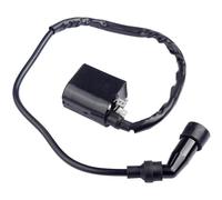 Bobina Di Accensione Módulo Bobina Encendido Para 3430-055 Para Motocicletas Para Arctic Cat 400 4X4 2003 2004 2005 2006 2007
