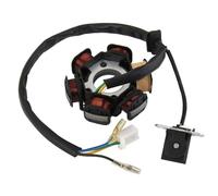 Bobina Di Accensione Placa Estator Magneto Bobina Generador 6 Polos Para GY6 110 125cc Para ATV Para PIT