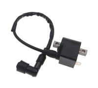 Bobina Encendido 1 Bobina Encendido 50 CC 2 Tiempos para Haojue para Suzuki para Jincheng AX100 A100 AK100 FR80 100 CC para Mini ATV Quad 4 Ruedas Motocicleta Bicicleta Bobinas Encendido