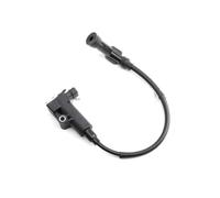 Bobina Encendido Alto Rendimiento Para Motocicletas Para Delphi Accesorios Repuesto Para Motocicletas Para EFI. encendido interruptor