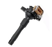 Bobina Encendido Bobina Encendido 12131748017 LR022494 (1 Unidad/6 Unidades) para Park para Ward 5.4L V12 2002 para Plata para Seraph 5.4L V12 1999 2000 2001 2002 Bobinas Encendido(PC 1)