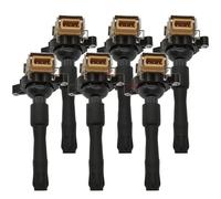 Bobina Encendido Bobina Encendido 12131748017 LR022494 (1 Unidad/6 Unidades) para Park para Ward 5.4L V12 2002 para Plata para Seraph 5.4L V12 1999 2000 2001 2002 Bobinas Encendido(6pcs)
