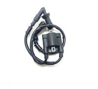 Bobina Encendido Bobina Encendido Motocicleta Accesorios Adecuados para Benelli para BJ150S para Paquete De Alto Voltaje BJ150-31 Bobinas Encendido