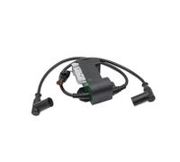 Bobina Encendido Bobina Encendido Motor 512060040 512059945 para Ski-Doo para Expedition 550F para GSX 550F para Ventilador para GTX 550F para Ventilador para MX Z para Summit Bobinas Encendido